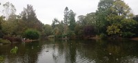 20221022_153444.jpg 20221022_153444.jpg