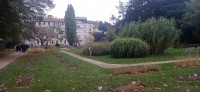 20221022_155629.jpg 20221022_155629.jpg