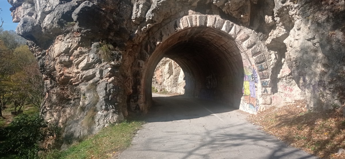 20221029_111539.jpg