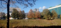 20221028_155545.jpg 20221028_155545.jpg