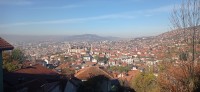 20221029_094851.jpg 20221029_094851.jpg