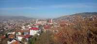 20221029_095137.jpg 20221029_095137.jpg
