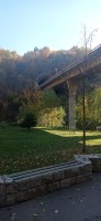 20221029_110344.jpg 20221029_110344.jpg