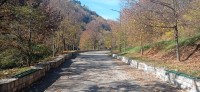 20221029_110830.jpg 20221029_110830.jpg