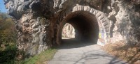20221029_111539.jpg 20221029_111539.jpg
