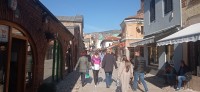 20221029_124239.jpg 20221029_124239.jpg