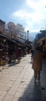 20221029_124751.jpg 20221029_124751.jpg