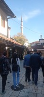 20221029_124817.jpg 20221029_124817.jpg