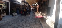 20221029_125039.jpg 20221029_125039.jpg