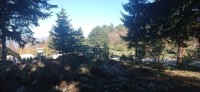 20221029_144111.jpg 20221029_144111.jpg