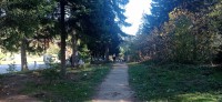 20221029_144118.jpg 20221029_144118.jpg