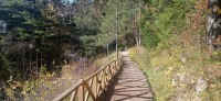 20221029_150109.jpg 20221029_150109.jpg