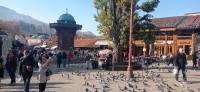 20221030_092514.jpg 20221030_092514.jpg