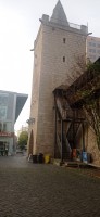 20221103_085240.jpg 20221103_085240.jpg
