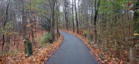 20221104_112304.jpg 20221104_112304.jpg