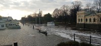 20221109_085329.jpg 20221109_085329.jpg