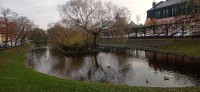 20221109_085814.jpg 20221109_085814.jpg