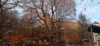 20221109_085941.jpg 20221109_085941.jpg