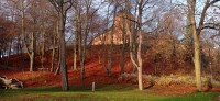 20221109_090030.jpg 20221109_090030.jpg