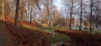 20221109_090142.jpg 20221109_090142.jpg