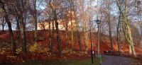 20221109_090144.jpg 20221109_090144.jpg