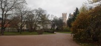 20221109_122458.jpg 20221109_122458.jpg