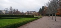 20221109_123126.jpg 20221109_123126.jpg