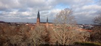 20221110_115509.jpg 20221110_115509.jpg