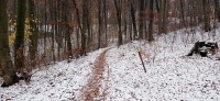 20221119_093404.jpg 20221119_093404.jpg