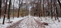 20221119_094003.jpg 20221119_094003.jpg