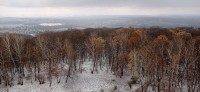 20221119_095204.jpg 20221119_095204.jpg