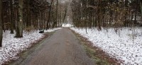 20221119_101337.jpg 20221119_101337.jpg