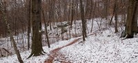 20221119_102656.jpg 20221119_102656.jpg