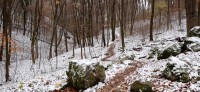20221119_103044.jpg 20221119_103044.jpg