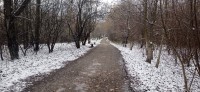 20221119_111442.jpg 20221119_111442.jpg
