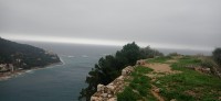 20221216_114906.jpg 20221216_114906.jpg