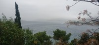 20221216_122348.jpg 20221216_122348.jpg
