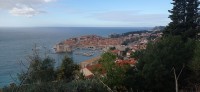 20221217_093918.jpg 20221217_093918.jpg