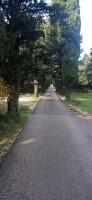 20221217_100319.jpg 20221217_100319.jpg