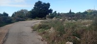 20221217_100656.jpg 20221217_100656.jpg