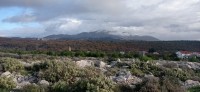 20221217_101003.jpg 20221217_101003.jpg