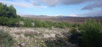 20221217_101058.jpg 20221217_101058.jpg
