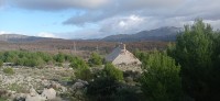 20221217_101102.jpg 20221217_101102.jpg