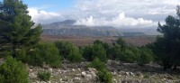 20221217_102241.jpg 20221217_102241.jpg
