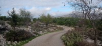 20221217_103012.jpg 20221217_103012.jpg