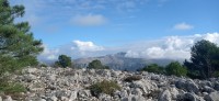 20221217_103514.jpg 20221217_103514.jpg