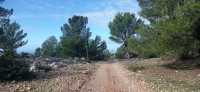 20221217_104027.jpg 20221217_104027.jpg