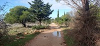 20221217_104259.jpg 20221217_104259.jpg