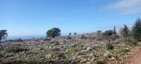 20221217_104313.jpg 20221217_104313.jpg