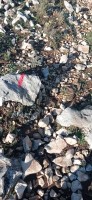 20221217_105258.jpg 20221217_105258.jpg